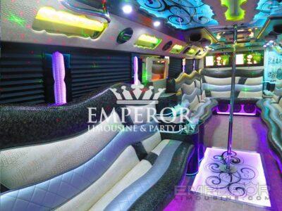 30 person party bus near me