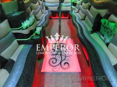 30 person party bus in Chicago