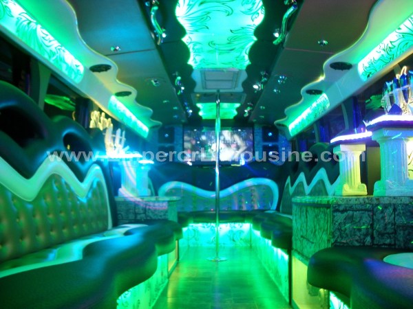 Party Bus Schaumburg - limo service chicago