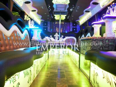 30 passenger limo bus