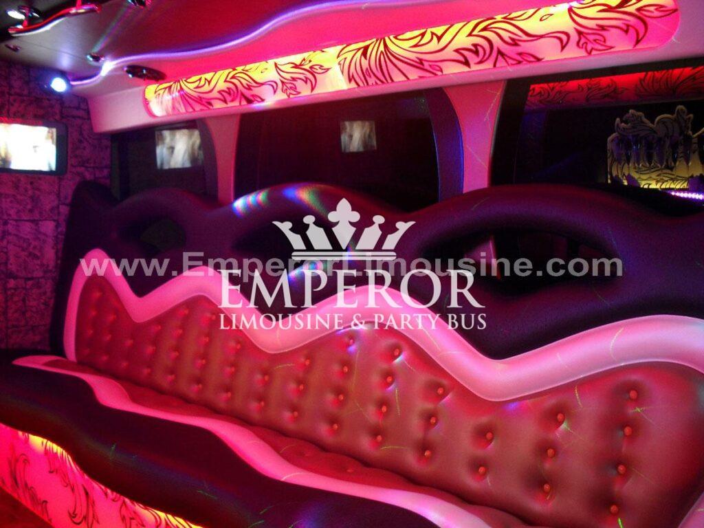ATHENA Party Bus – 30 passenger - limo service chicago