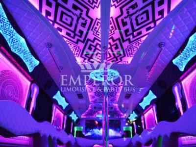 34 passenger party bus