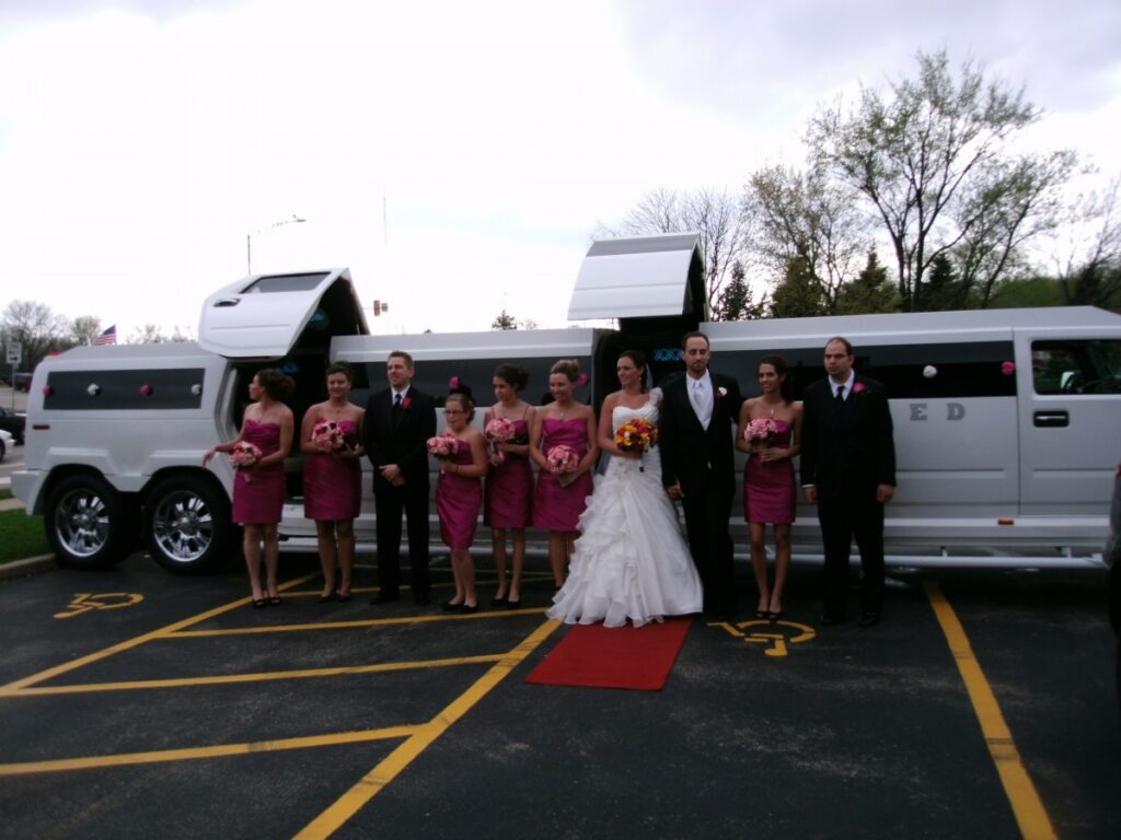 Party Bus Fleet Preview - limo service chicago