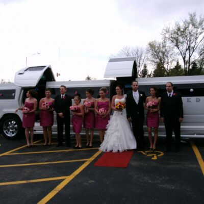 Party Bus Fleet Preview - limo service chicago