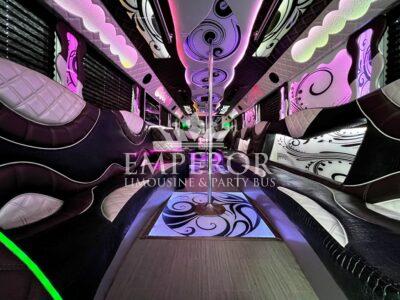 VISION Party Bus - 30 passenger