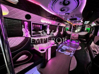 VISION Party Bus - 30 passenger