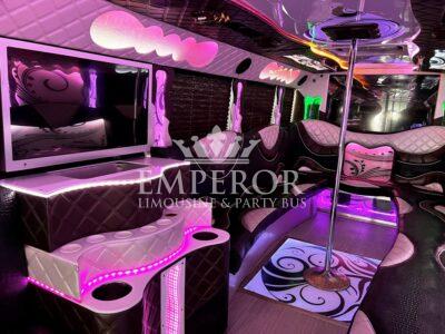 VISION Party Bus - 30 passenger