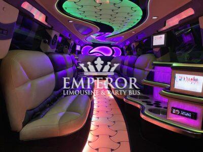 Infinity party bus