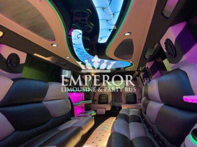 20-PAX Infinity QX56 - limo service chicago