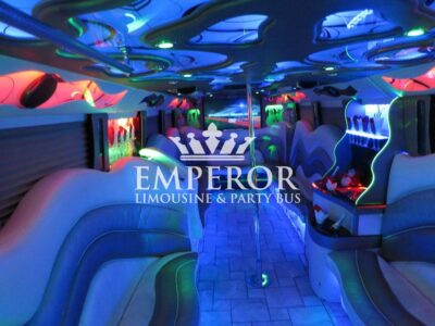 PEARL Party Bus – 30 passenger - limo service chicago