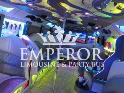 PEARL Party Bus – 30 passenger - limo service chicago
