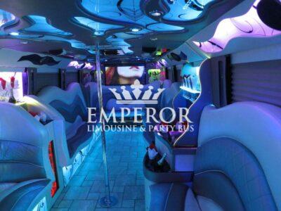 PEARL Party Bus – 30 passenger - limo service chicago