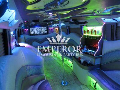 PEARL Party Bus – 30 passenger - limo service chicago