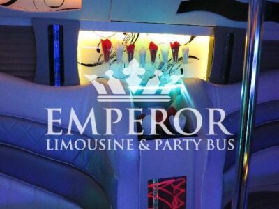 PEARL Party Bus – 30 passenger - limo service chicago