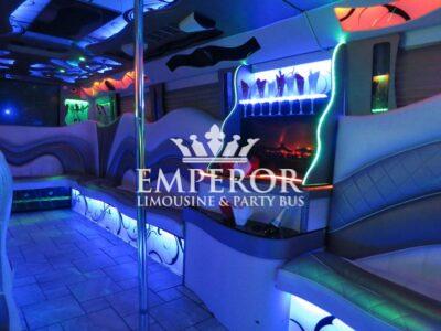 PEARL Party Bus – 30 passenger - limo service chicago