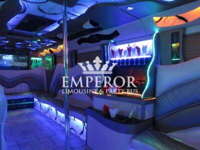 PEARL Party Bus – 30 passenger - limo service chicago