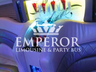 PEARL Party Bus – 30 passenger - limo service chicago