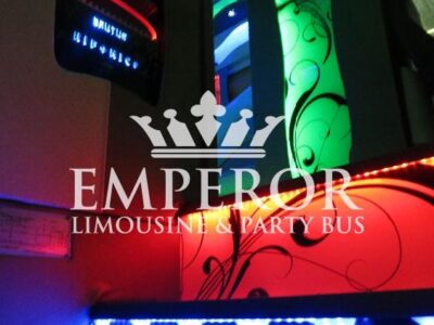 PEARL Party Bus – 30 passenger - limo service chicago