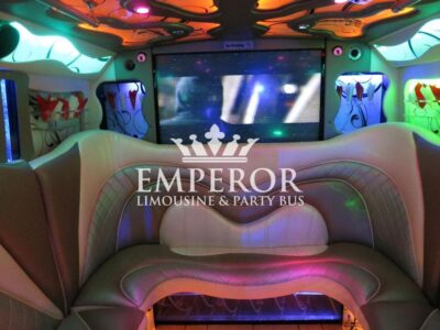 PEARL Party Bus – 30 passenger - limo service chicago