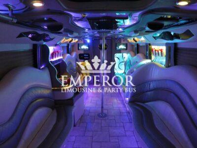 PEARL Party Bus – 30 passenger - limo service chicago