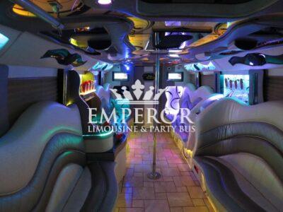 PEARL Party Bus – 30 passenger - limo service chicago