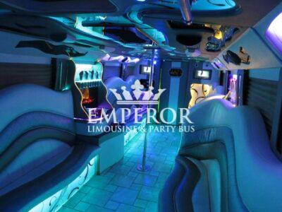 PEARL Party Bus – 30 passenger - limo service chicago