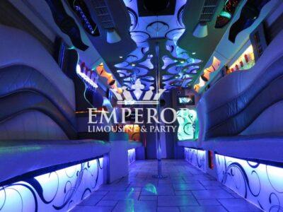 PEARL Party Bus – 30 passenger - limo service chicago
