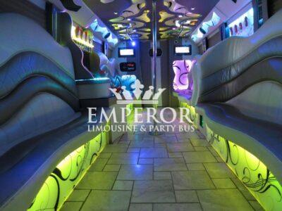 PEARL Party Bus – 30 passenger - limo service chicago