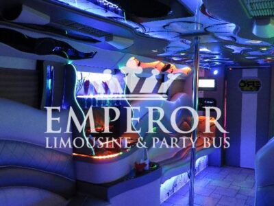 PEARL Party Bus – 30 passenger - limo service chicago