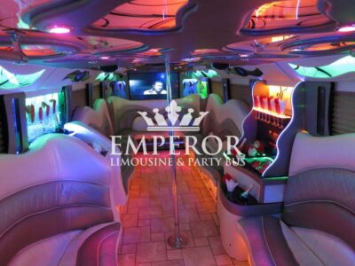 PEARL Party Bus – 30 passenger - limo service chicago