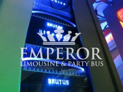 PEARL Party Bus – 30 passenger - limo service chicago