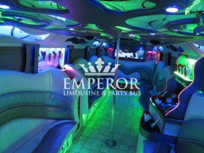 PEARL Party Bus – 30 passenger - limo service chicago