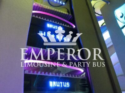 PEARL Party Bus – 30 passenger - limo service chicago