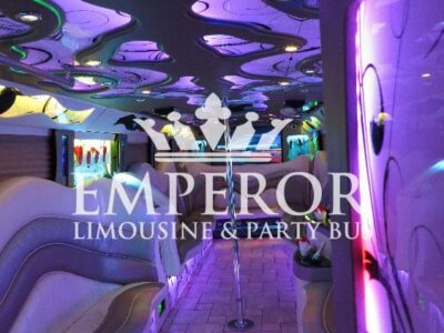 PEARL Party Bus – 30 passenger - limo service chicago