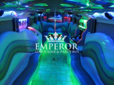 PEARL Party Bus – 30 passenger - limo service chicago