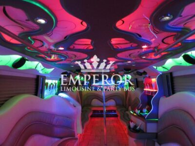PEARL Party Bus – 30 passenger - limo service chicago