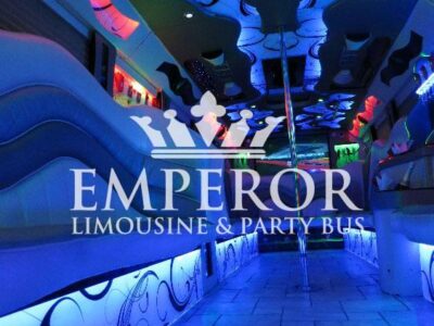 PEARL Party Bus – 30 passenger - limo service chicago