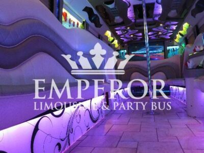 PEARL Party Bus – 30 passenger - limo service chicago