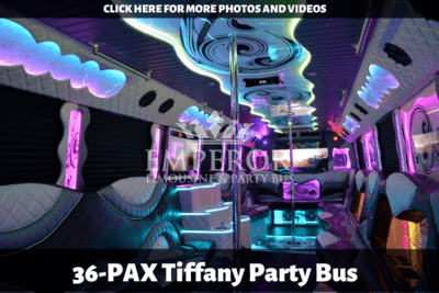 TIFFANY Party Bus – 36 Passenger - limo service chicago