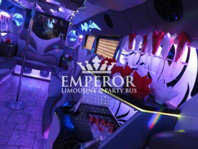 TITANIUM Party Bus – 30 passenger - limo service chicago