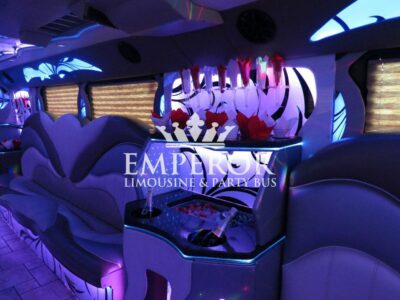 TITANIUM Party Bus – 30 passenger - limo service chicago