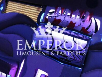 TITANIUM Party Bus – 30 passenger - limo service chicago
