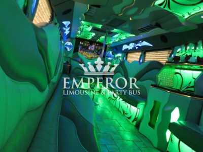 TITANIUM Party Bus – 30 passenger - limo service chicago
