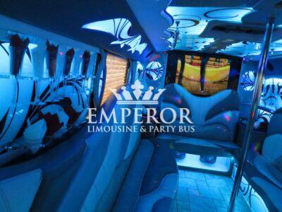 TITANIUM Party Bus – 30 passenger - limo service chicago