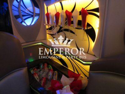 TITANIUM Party Bus – 30 passenger - limo service chicago