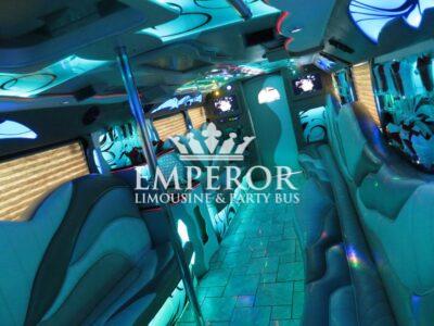 TITANIUM Party Bus – 30 passenger - limo service chicago