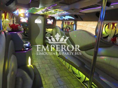 TITANIUM Party Bus – 30 passenger - limo service chicago