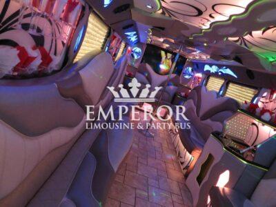 TITANIUM Party Bus – 30 passenger - limo service chicago