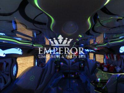 TITANIUM Party Bus – 30 passenger - limo service chicago