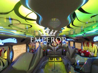 TITANIUM Party Bus – 30 passenger - limo service chicago